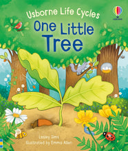 Load image into Gallery viewer, Usborne Life Cycles: One Little Tree
