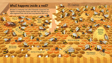 Load image into Gallery viewer, Look Inside the World of Bees (Board book)
