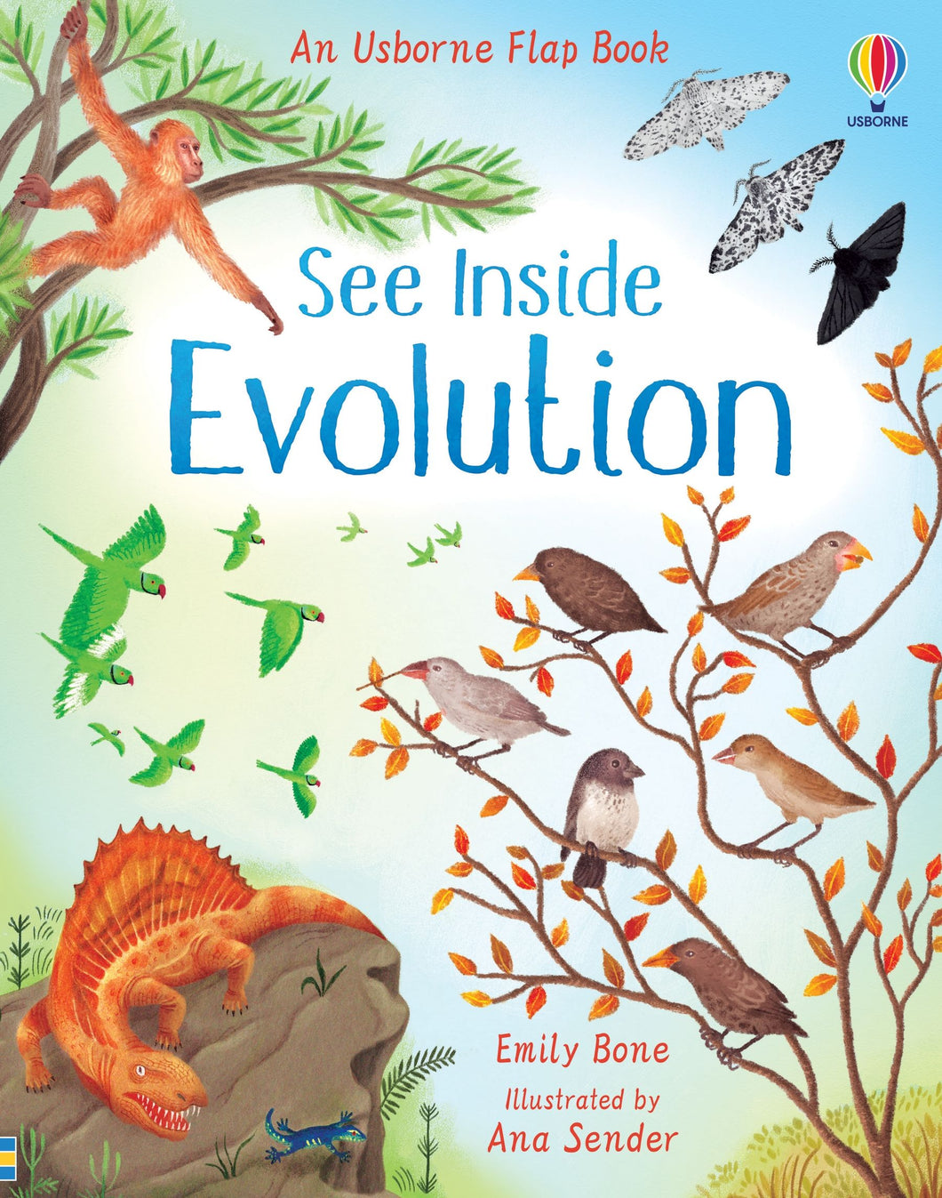 See Inside Evolution (Hardcover)