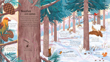 Load image into Gallery viewer, Look Inside the Woods (Board book)
