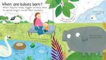 Load image into Gallery viewer, Lift-the-Flap First Questions and Answers Where do babies come from?（Board Book）
